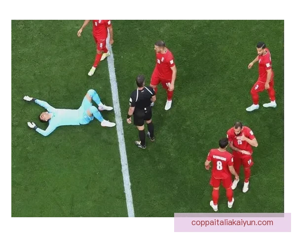 足球世界杯看点：强队对决与新星崛起成焦点